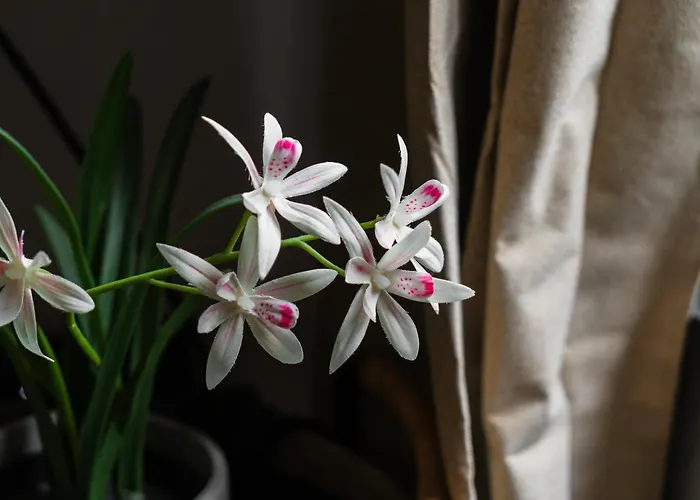 Апартаменты 3 Stylish At A Great Location In